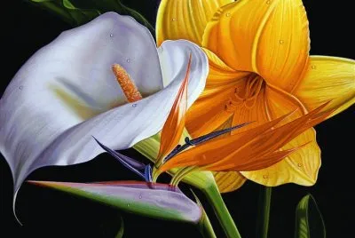 Oil Painting