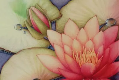 Mistry Lily