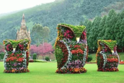 פאזל של natureza