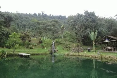 פאזל של Cerca de Paracti. Cochabamba. Bolivia