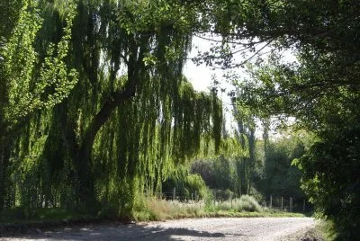 En San Rafael. Mendoza. Argentina