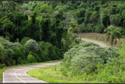 Reserva YabotÃ­. Misiones. Argentina
