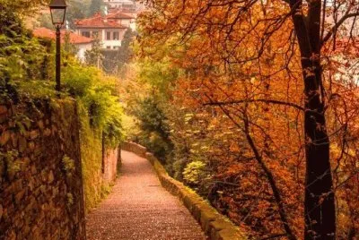 פאזל של OtoÃ±o