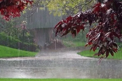 פאזל של Rainy day
