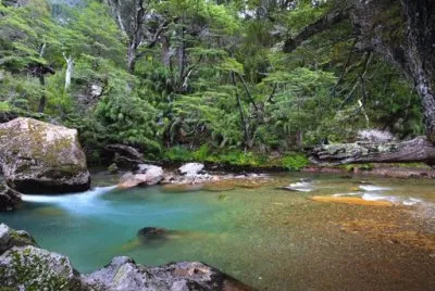 RÃ­o Pichi Traful. NeuquÃ©n. Argentina