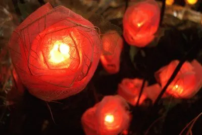 Light
