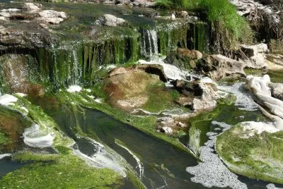 Diamante. Entre RÃ­os. Argentina