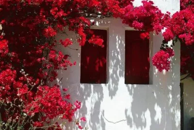 Natureza