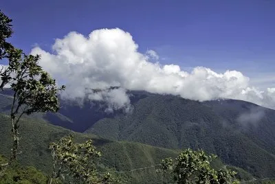 Floresta Nebular - Peru