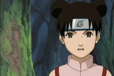 פאזל של Tenten