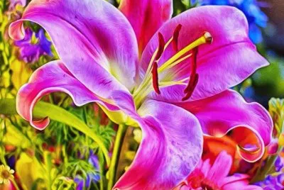 Amazing Flowers