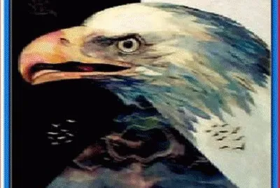 45