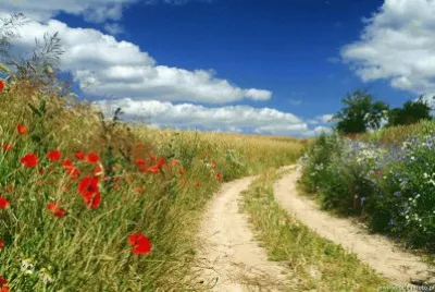 פאזל של Natureza