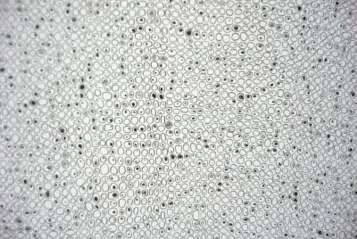 Other things. jigsaw puzzle