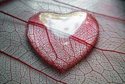corazon jigsaw puzzle