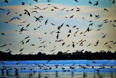 Laguna Mar Chiquita. CÃ³rdoba. Argentina