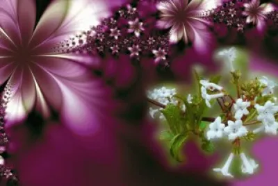 primavera