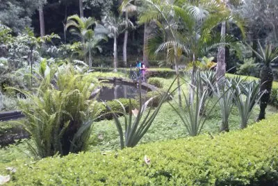 פאזל של jardin