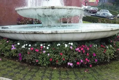 פאזל של jardin