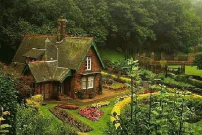 פאזל של NÂº 1186