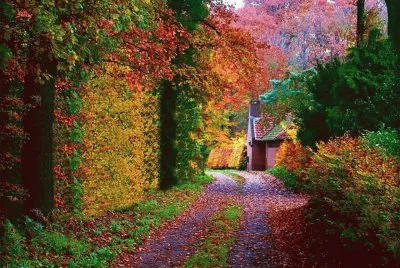 פאזל של NÂº 648