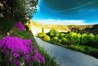 פאזל של Natureza