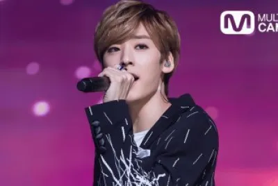 פאזל של cantante
