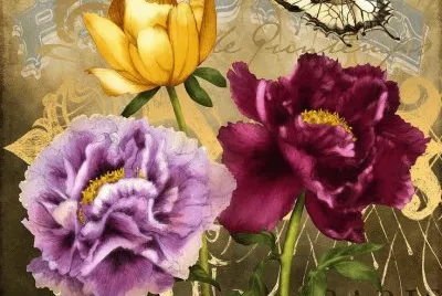 Parisian Peonies
