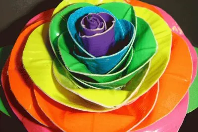 Rainbow Rose