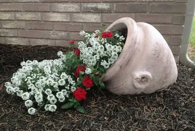 jardin