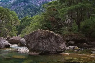 פאזל של En la Patagonia Argentina