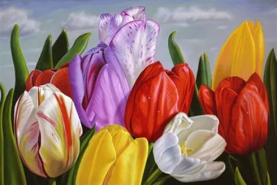Amazing Tulips
