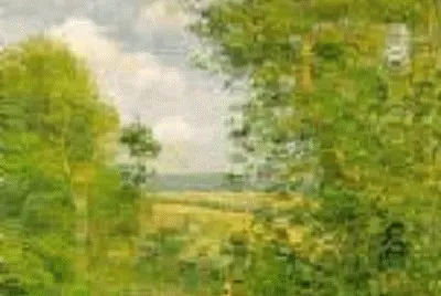 36