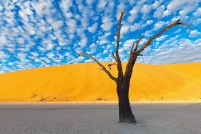 Natureza