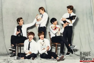 פאזל של u-kiss