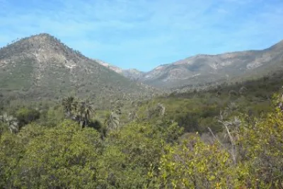 פאזל של Chile National Parks La Campana Darwin 's trip
