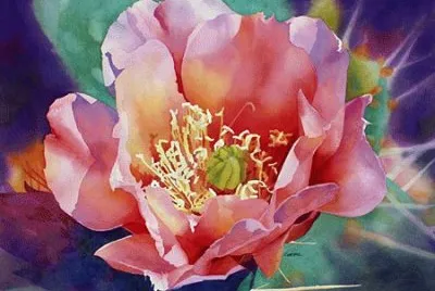 Prickly Pink