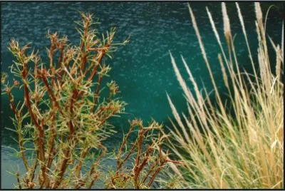 Laguna de la NiÃ±a Encantada. Mendoza. Argentina
