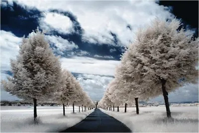 פאזל של winter-93