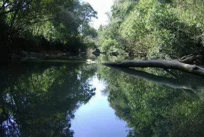 פאזל של Arroyo ChapÃ¡. OberÃ¡. Misiones. Argentina