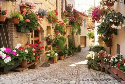 פאזל של Toscana