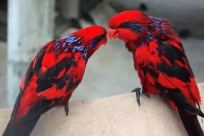 Lovely picture