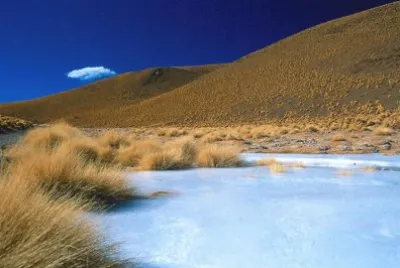 פאזל של Cerca de Antofalla. Catamarca. Argentina