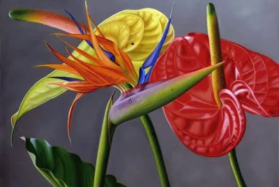Anthurium