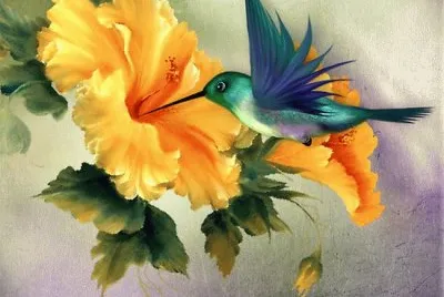 Hibiscus and Humming Bird