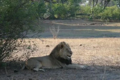 En el norte de Botswana