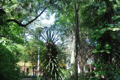 פאזל של En San Miguel del TucumÃ¡n. Argentina