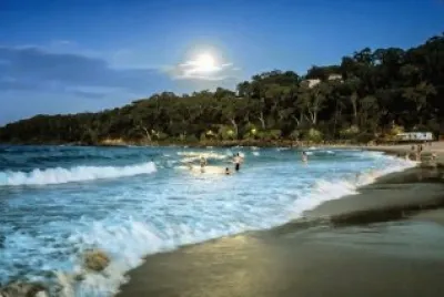 פאזל של Noosa. Queensland. Australia