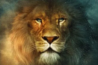 Mi leÃ³n preferido