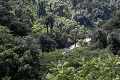 פאזל של Quebrada de Los Sosa. TucumÃ¡n. Argentina